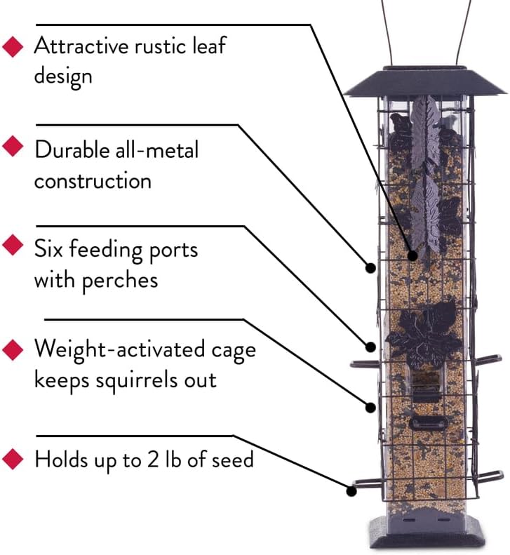 squirrel proof bird feeder