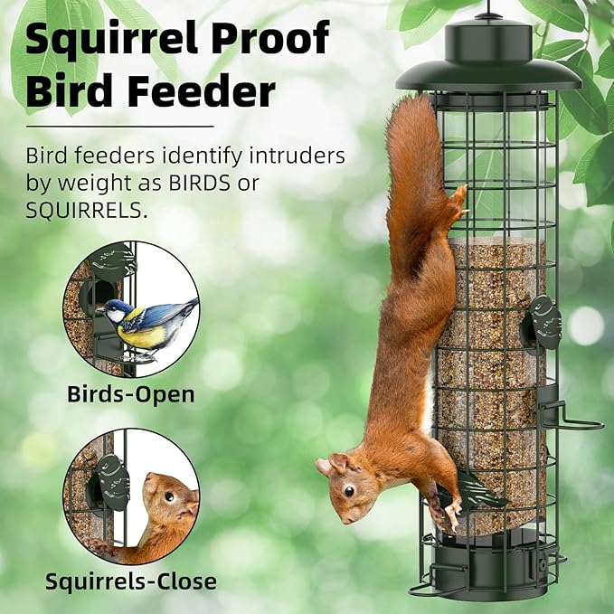 squirrel proof bird feeder